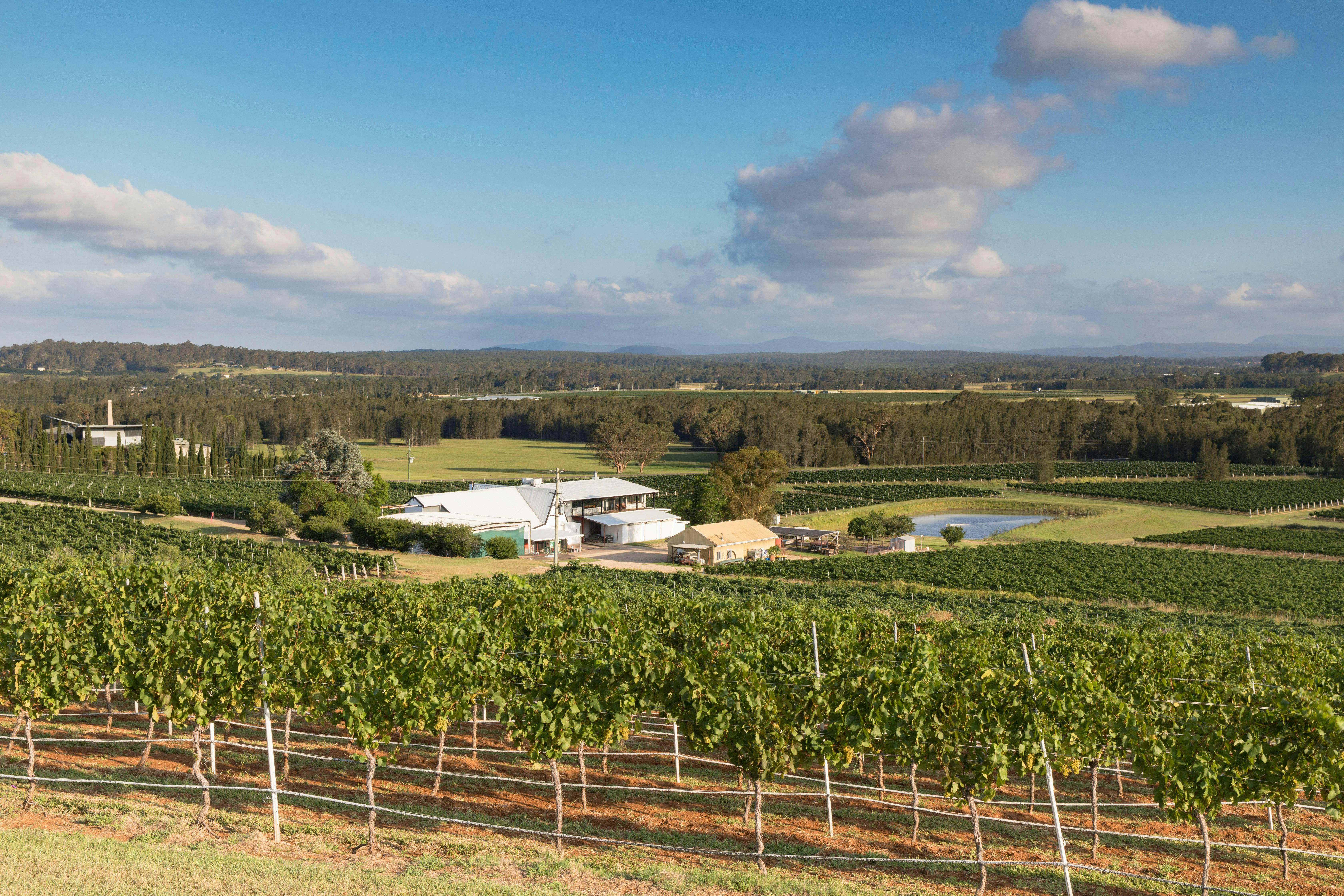 Lake s Folly Hunter Valley New South Wales Attractions